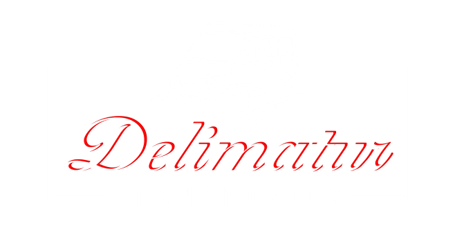 LOCAÇÃO DE VANS - DELIMATUR CURITIBA - SÃO JOSÉ DOS PINHAIS